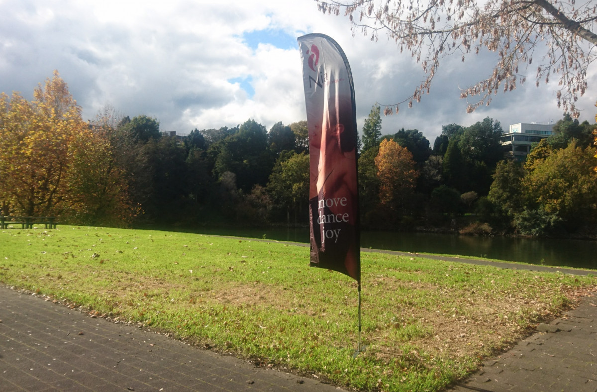 Beginners Dance Classes Hamilton Dance NZ
