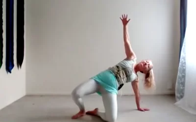 7 Cycles of Nia Dance